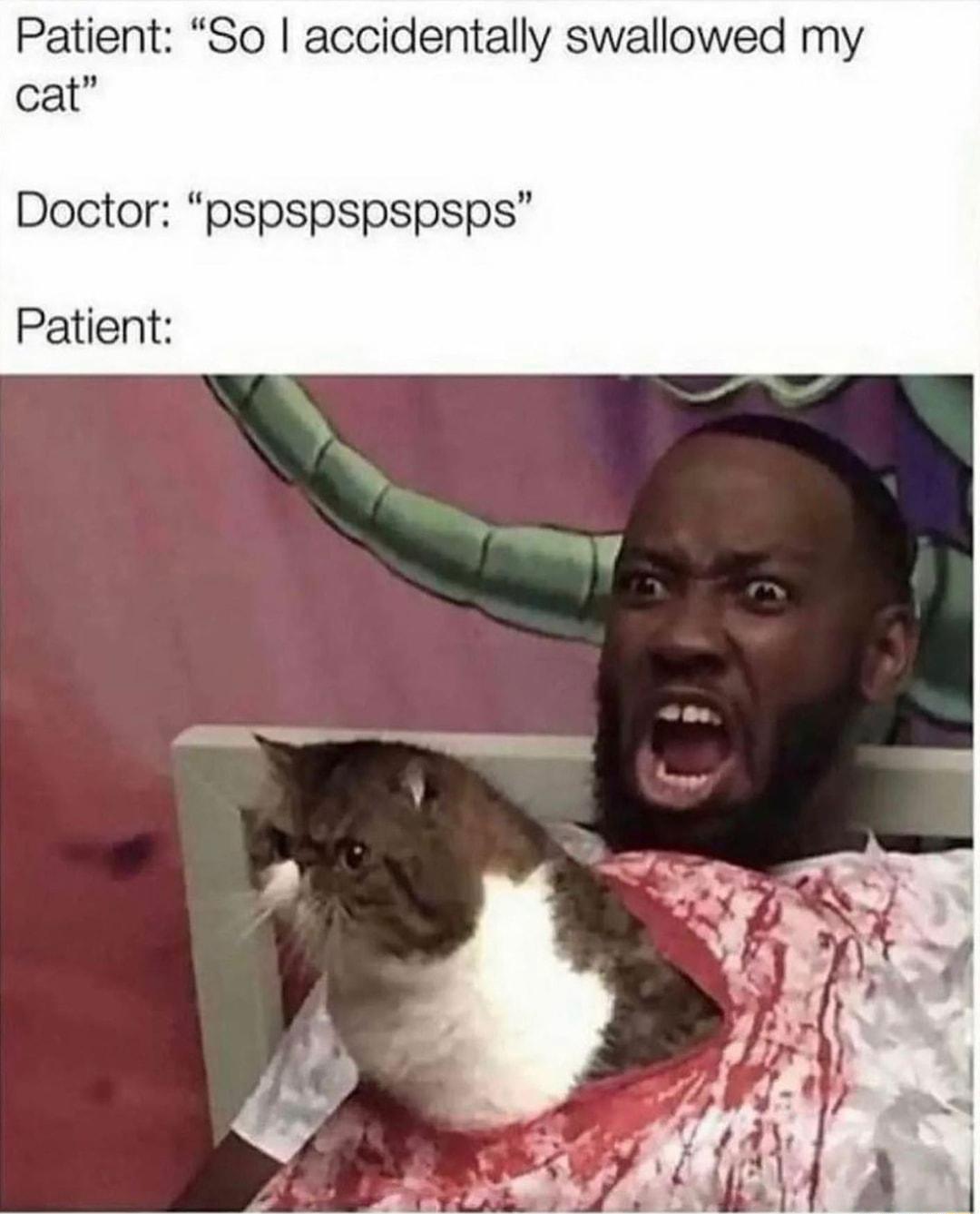 Patient So accidentally swallowed my cat Doctor pspspspspsps Patient