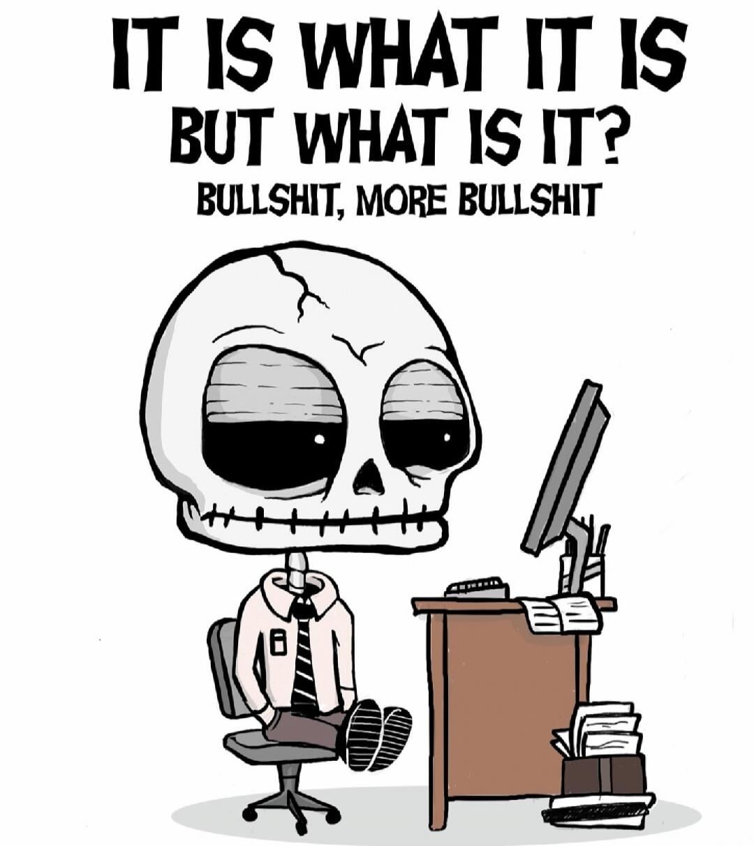 IT IS WHAT IT IS BUT WHAT IS IT? BULLSHIT, MORE BULLSHIT