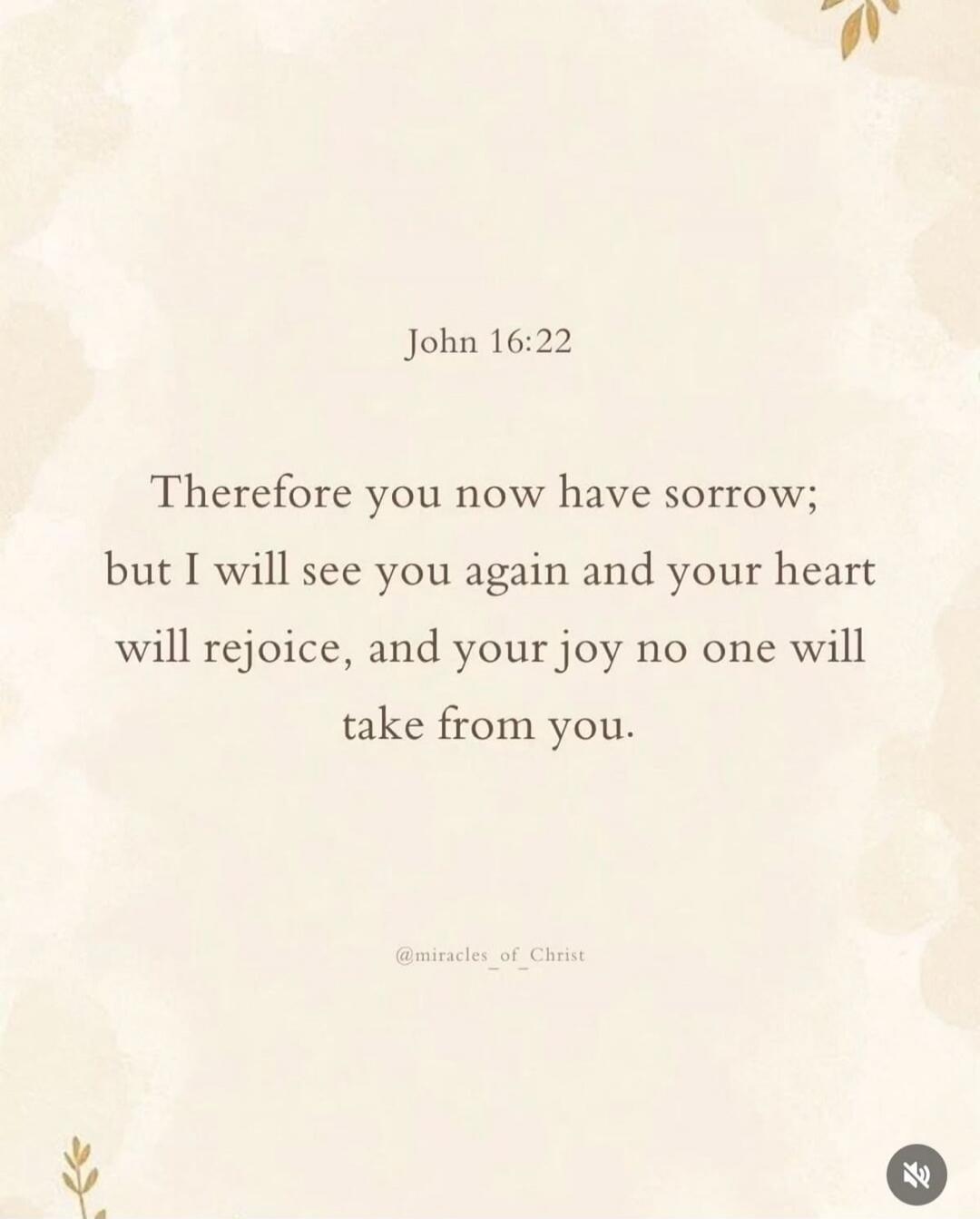 John 16:22 Therefore you now have sorrow; but I will see you again and your heart will rejoice, and your joy no one will take from you. @miracles_of_Christ