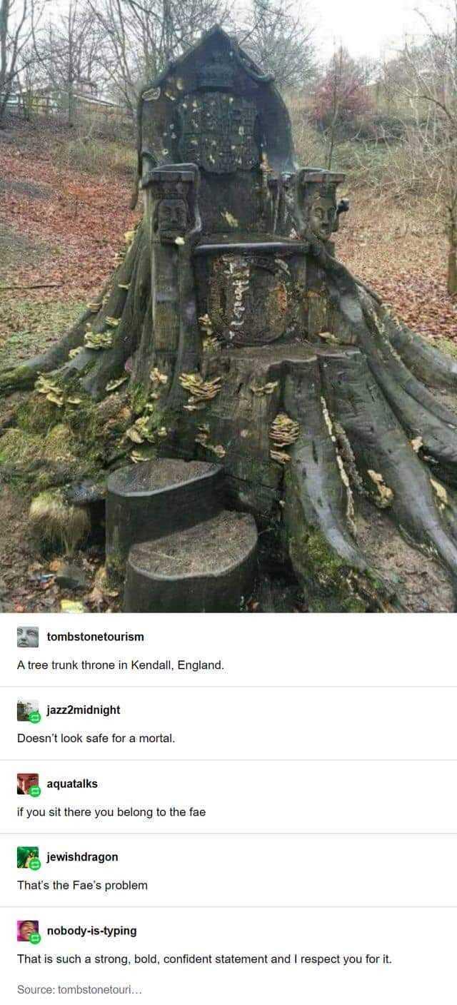 tombstonetourism Atree trunk throne in Kendall England E jazz2midnight Doesnt look safe for a mortal u aquatalks if you sit there you belong to the fae l jewishdragon Thats the Faes problem nobody is typing That is such a strong bold confident statement and respect you for it Source tombstonetouri