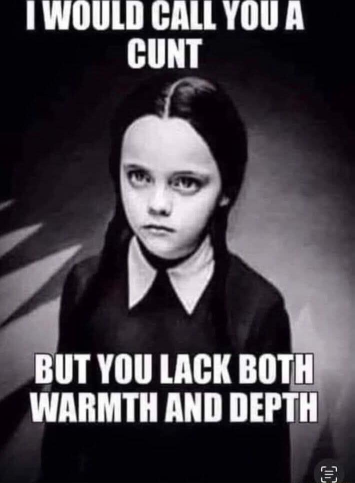 I WOULD CALL YOU A CUNT BUT YOU LACK BOTH WARMTH AND DEPTH