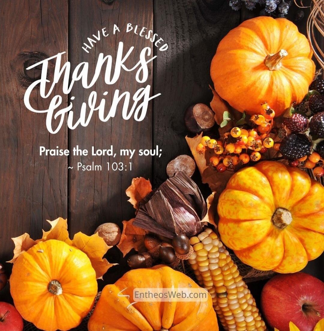 Have a blessed Thanksgiving
Praise the Lord, my soul;
Psalm 103:1