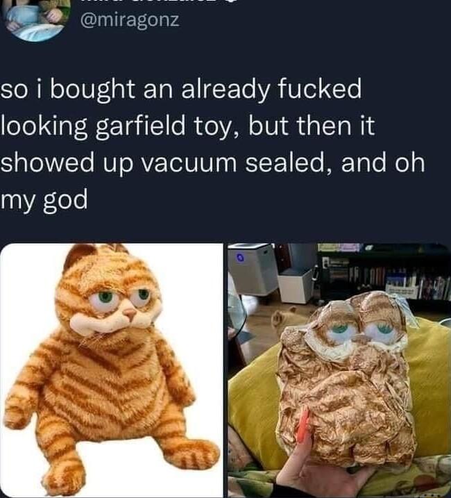 o gonz STo NN o elUTa1 a1 FoTe VA U Lol Yo looking garfield toy but then it S aleVTo MUTORVETo01 o WIE 1 Yo METale lo my god