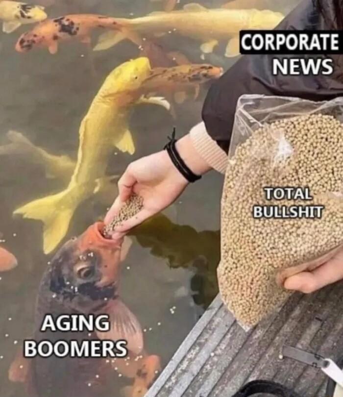 gCOR PORATE BOOMERS
