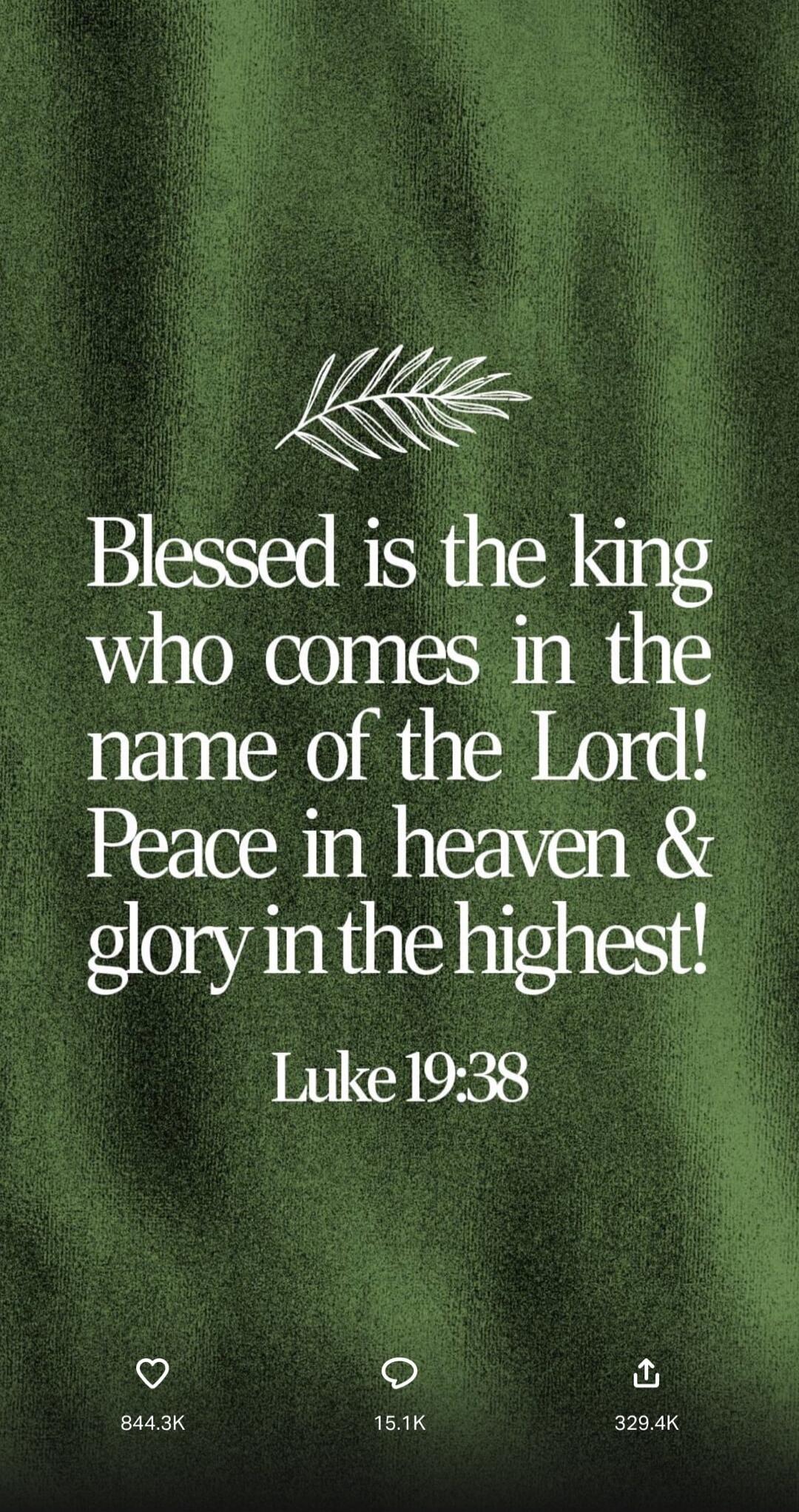 Blessed is the king who comes in the name of the Lord! Peace in heaven & glory in the highest! Luke 19:38