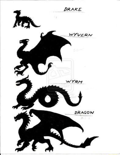 DRAKE N wYveRn 2 wYRM DRAGON