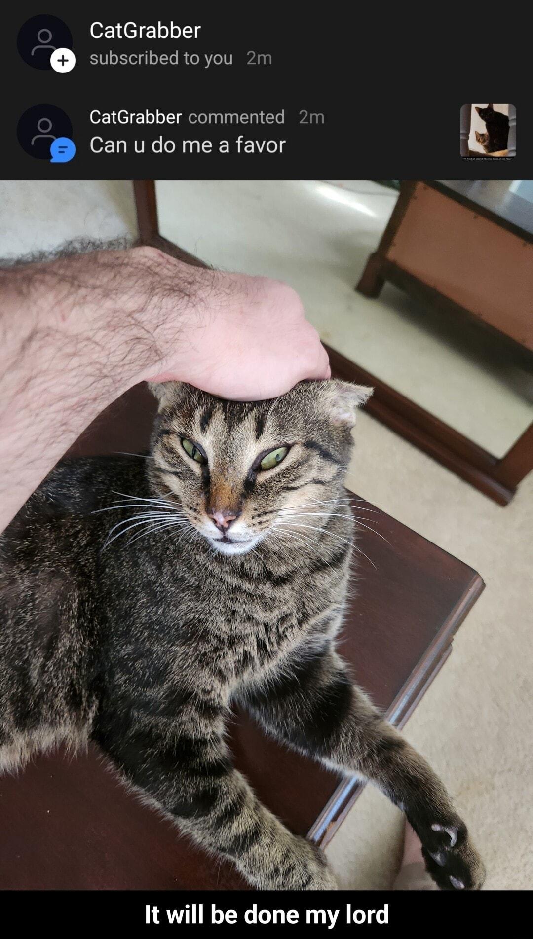CatGrabber subscribed to you 2m CatGrabber commented 2rm Can udo me a favor gl It will be done my lord