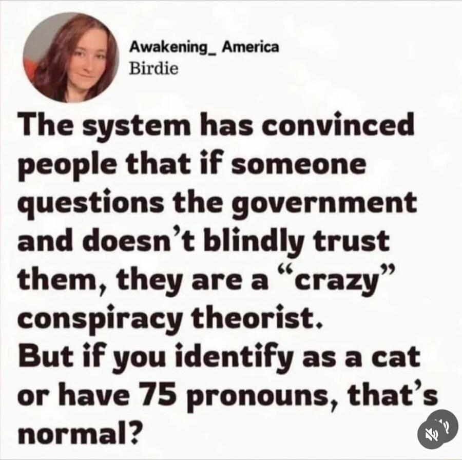 Awakening_ America Birdie The system has convinced people that if someone questions the government and doesnt blindly trust them they are a crazy conspiracy theorist But if you identify as a cat or have 75 pronouns thats normal