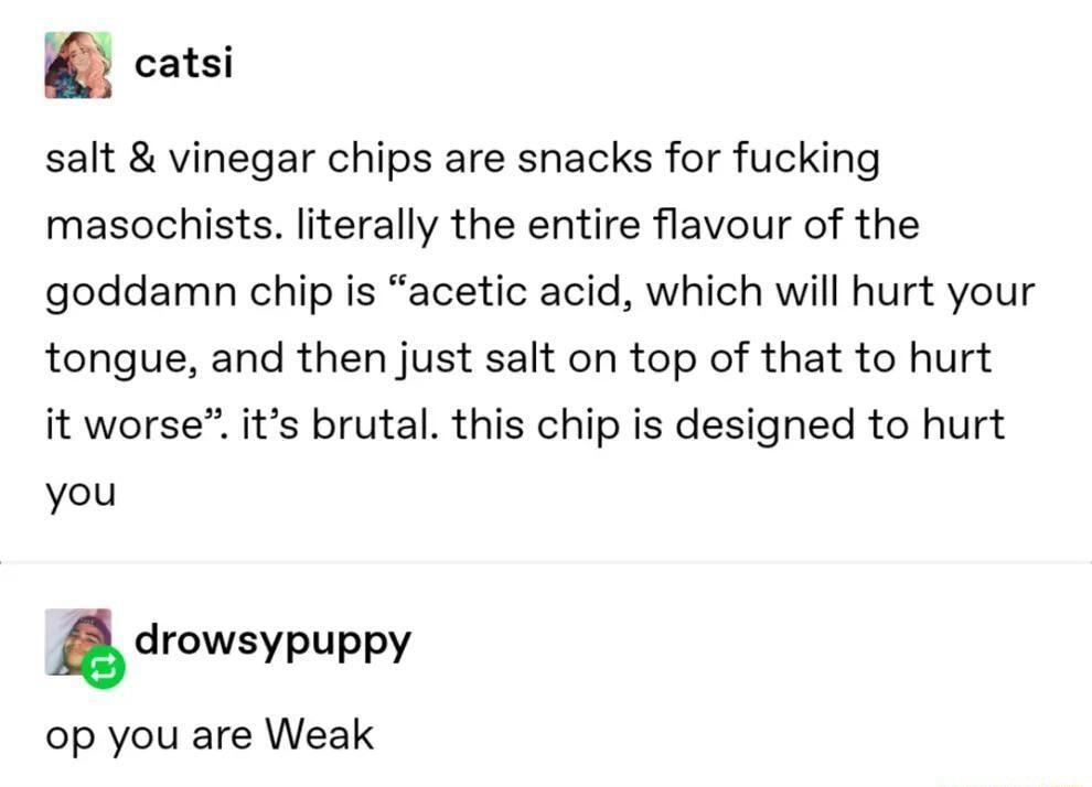 catsi salt vinegar chips are snacks for fucking masochists literally the entire flavour of the goddamn chip is acetic acid which will hurt your tongue and then just salt on top of that to hurt it worse its brutal this chip is designed to hurt you A drowsypuppy op you are Weak