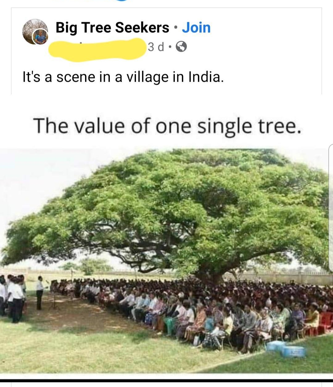 Q Big Tree Seekers Join 3d Q Its a scene in a village in India The value of one single tree