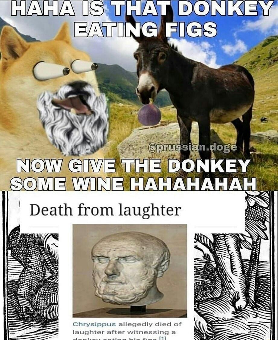 HAHNYISITHAT DONKEY