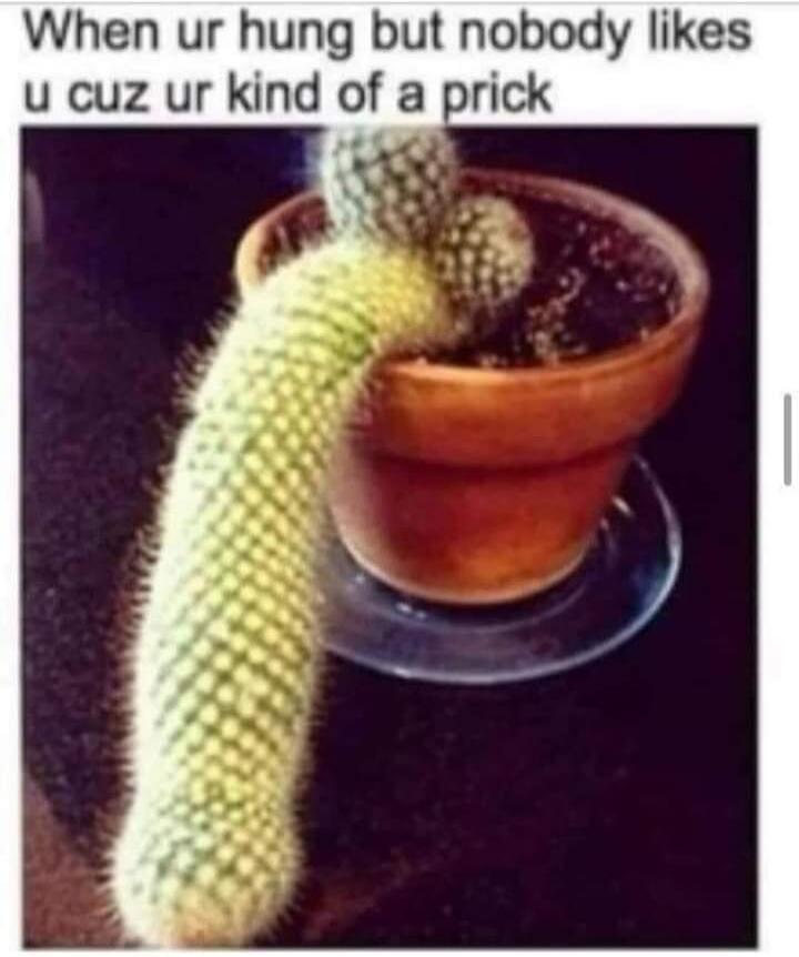 When ur hung but nobody likes u cuz ur kind of a prick