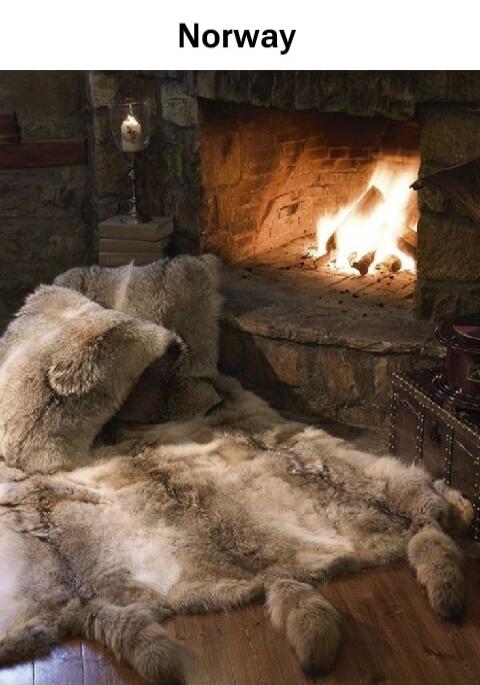 Norway
A cozy fur rug laid in front of a lit stone fireplace.