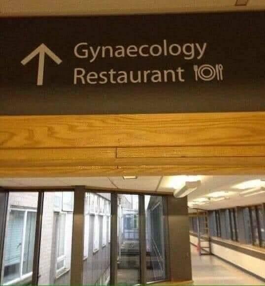 loan YVigelooe y V I taurant 1Of