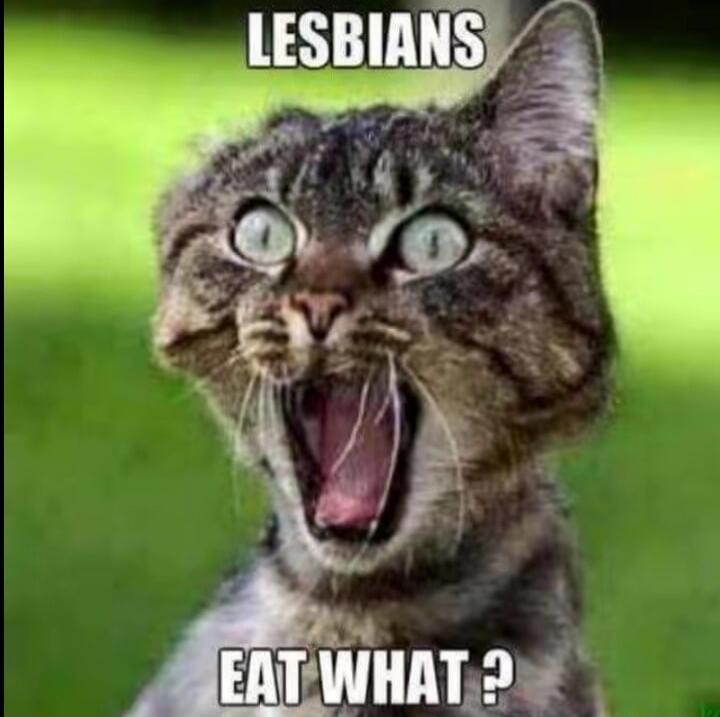 LESBIANS EAT WHAT?