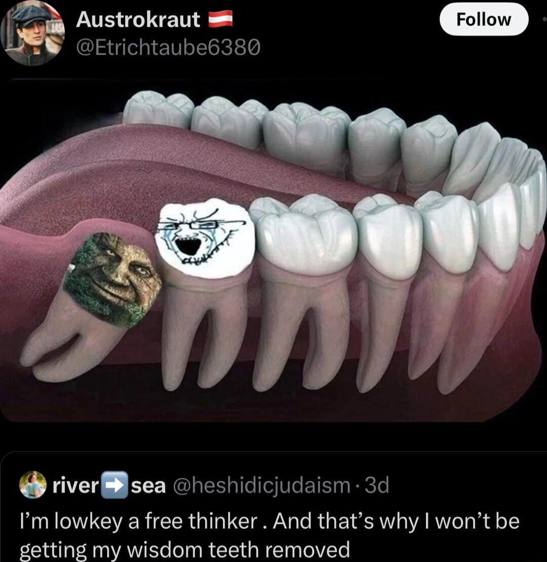 Austrokraut Etrichtaube6380 riversea heshidicjudaism 3d Im lowkey a free thinker And thats why wont be getting my wisdom teeth removed