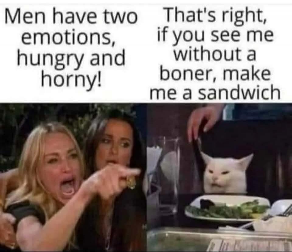 Men have two emotions, hungry and horny! That's right, if you see me without a boner, make me a sandwich