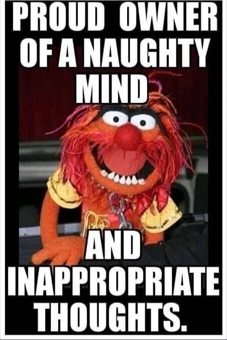PROUD OWNER OF A NAUGHTY MIND AND INAPPROPRIATE THOUGHTS.