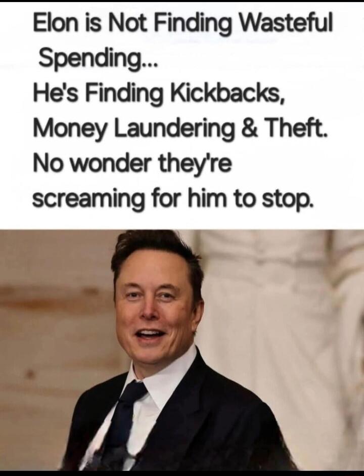 Elon is Not Finding Wasteful Spending Hes Finding Kickbacks Money Laundering Theft No wonder theyre screaming for him to stop