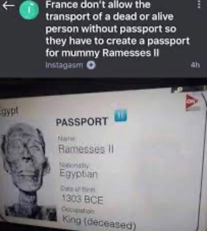 transpon of a dead or alive person without passport so they have to create a passport for mummy Ramesses an