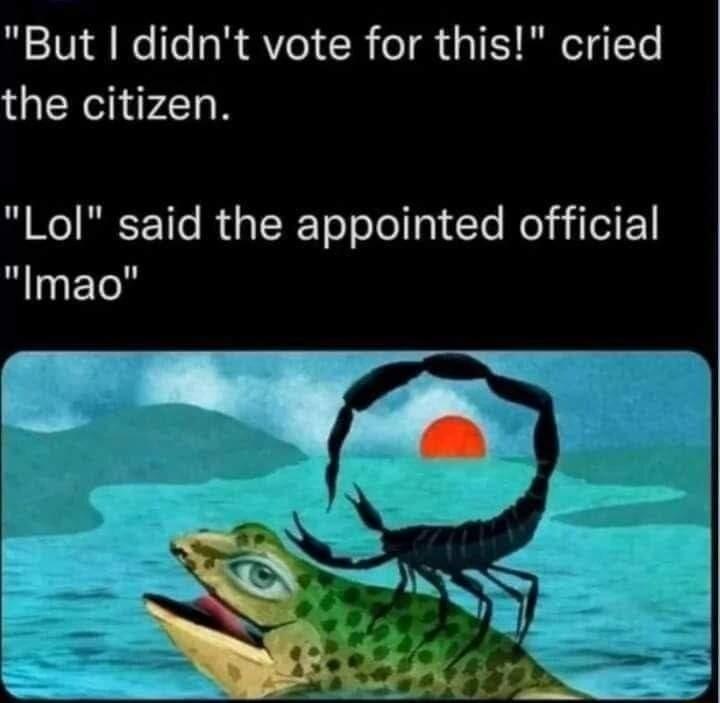 But didnt vote for this cried the citizen Lol said the appointed official Imao