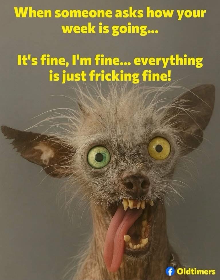 When someone asks how your week is going... It's fine, I'm fine... everything is just fricking fine!