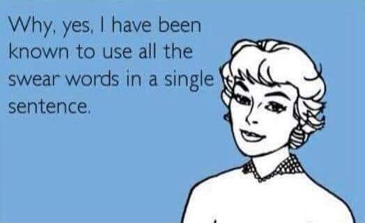Why, yes, I have been known to use all the swear words in a single sentence.