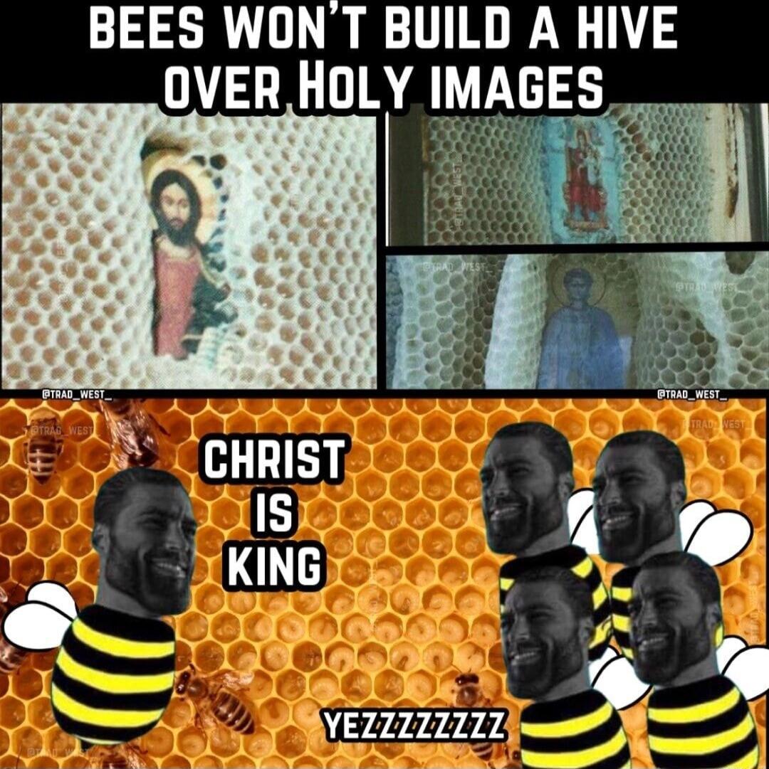 BEES WONT BUILD A HIVE OVERHOLY IM GES CHRIST IS XKING