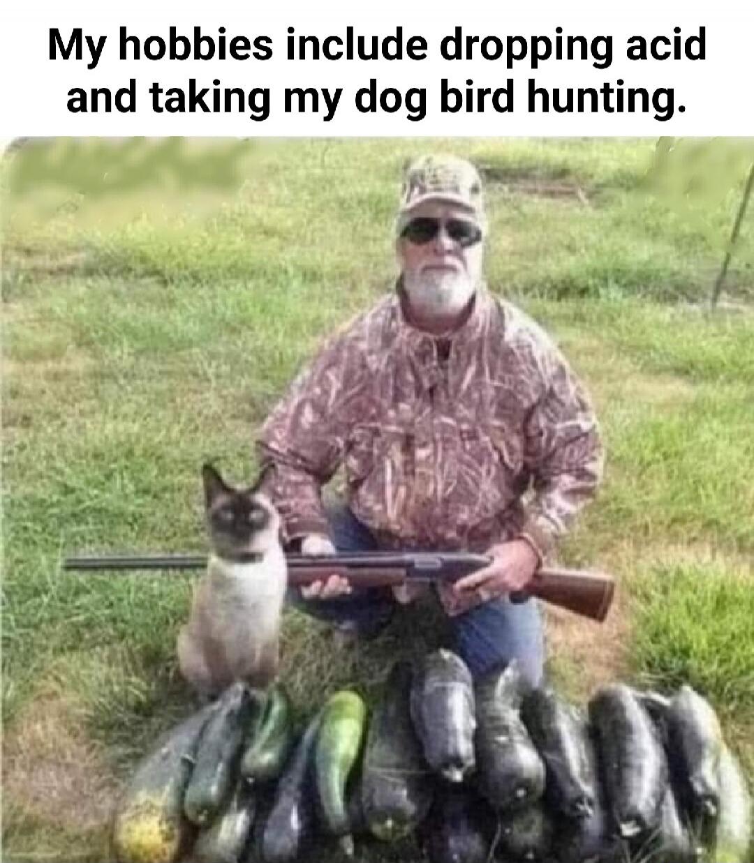 My hobbies include dropping acid and taking my dog bird hunting.