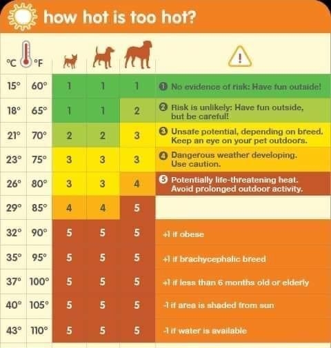 how hot is too hot Unsate potential depending on breed Keep an eye on your pet outdoors Dangerous weather doveloping 75 SRS IESINIa 85 95 no Petplan m