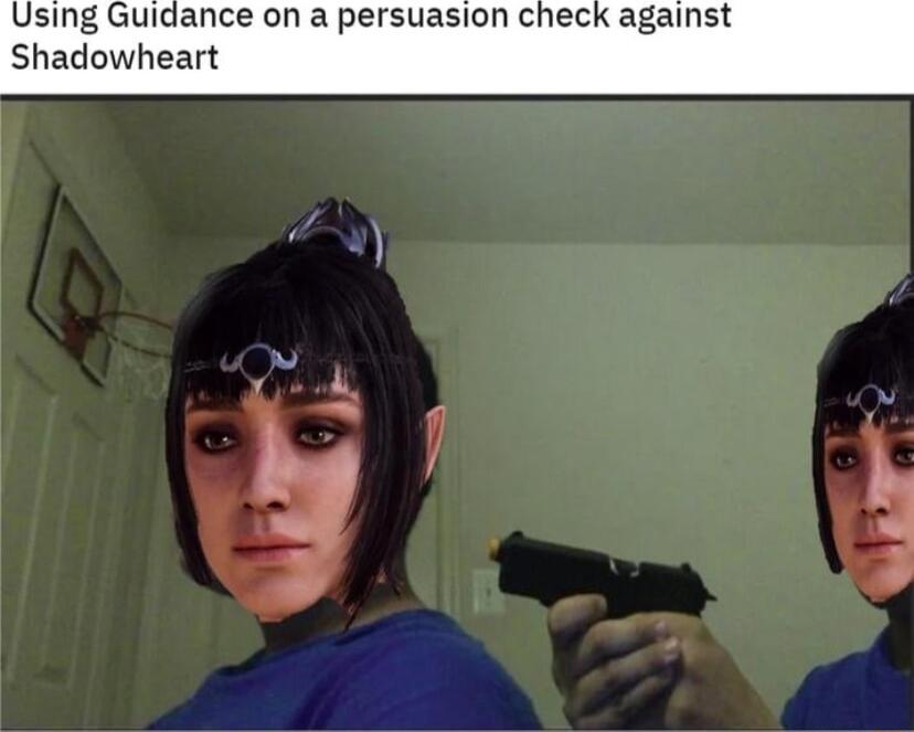 sing Guidance on a persuasion check against Shadowheart