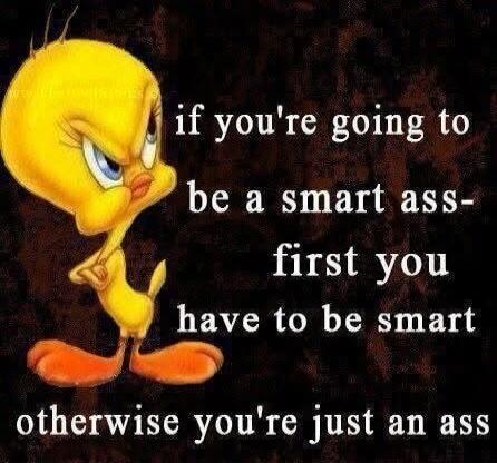 if you're going to be a smart ass- first you have to be smart otherwise you're just an ass