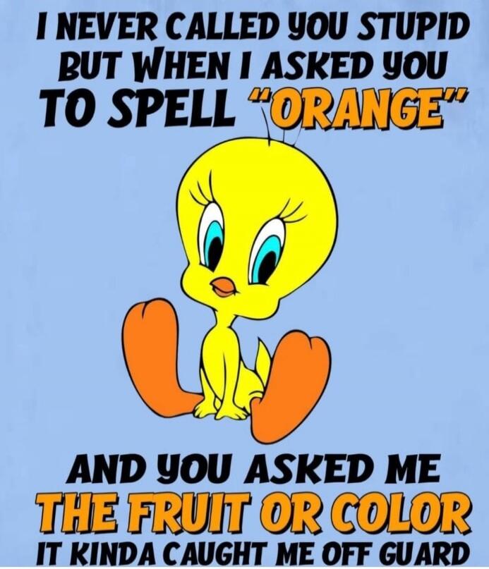 I NEVER CALLED YOU STUPID BUT WHEN I ASKED YOU TO SPELL 