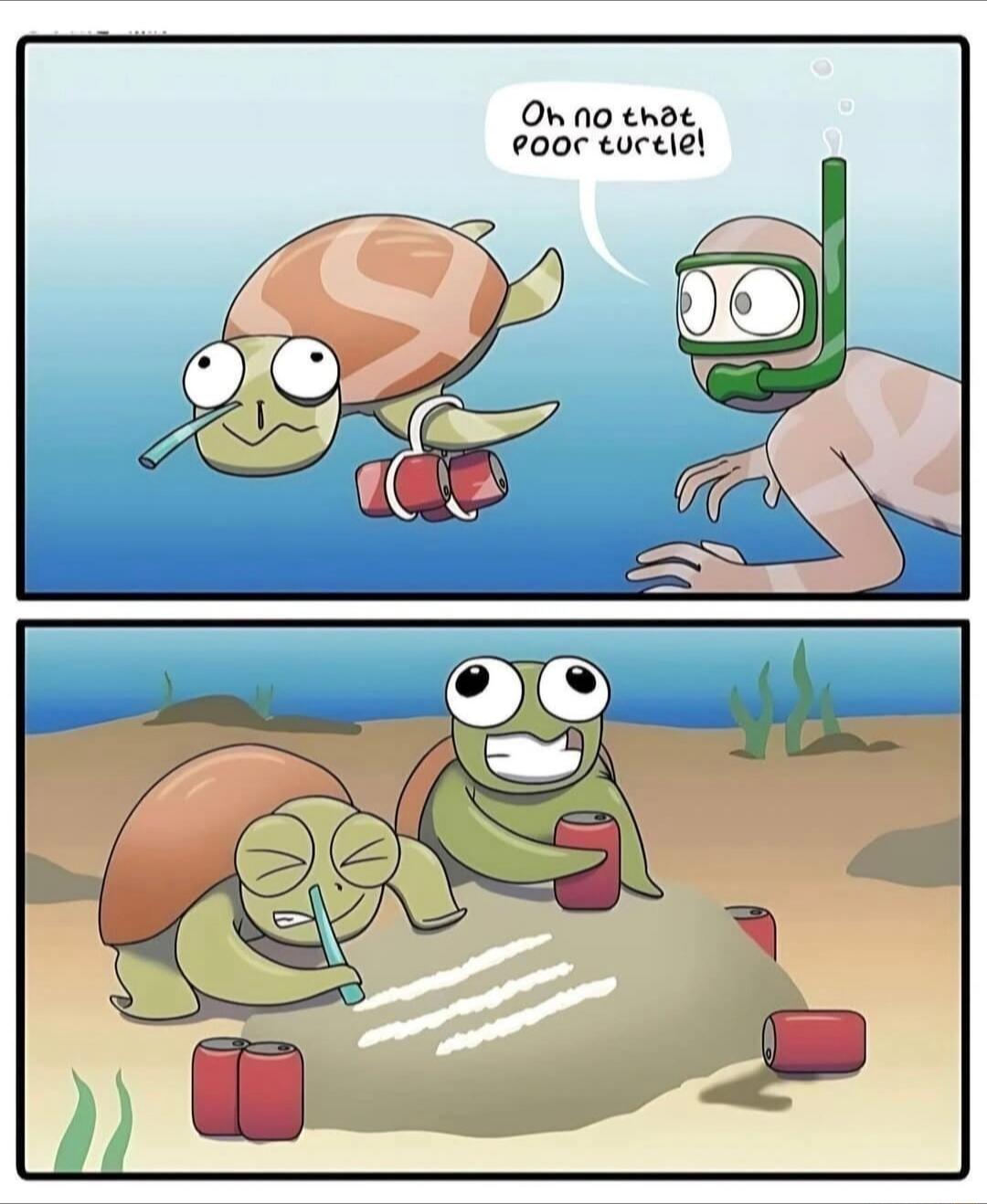 Oh no that poor turtle!