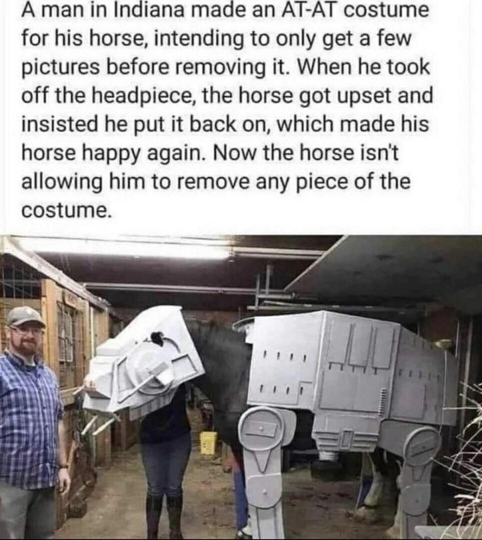 A man in Indiana made an AT AT costume for his horse intending to only get a few pictures before removing it When he took off the headpiece the horse got upset and insisted he put it back on which made his horse happy again Now the horse isnt allowing him to remove any piece of the costume