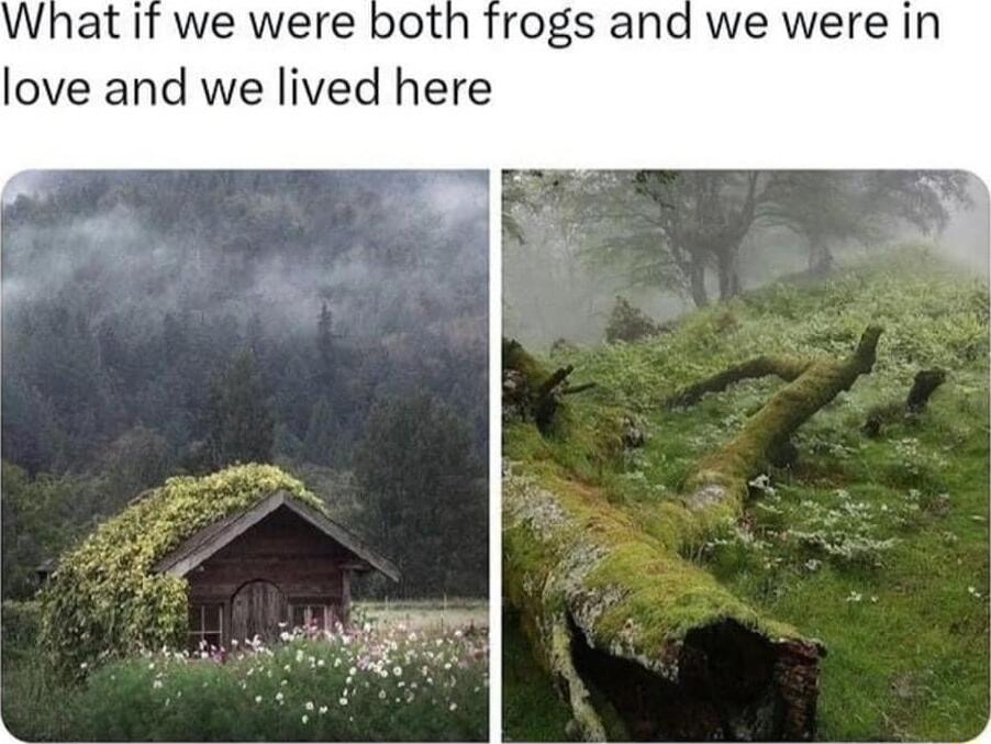 rogs and we were in love and we lived here