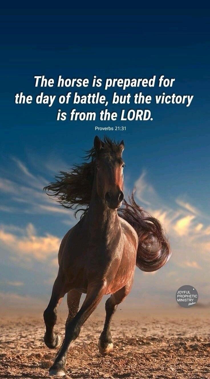 The horse is prepared for the day of battle, but the victory is from the LORD. Proverbs 21:31 JOYFUL PROPHETIC MINISTRY Shalom