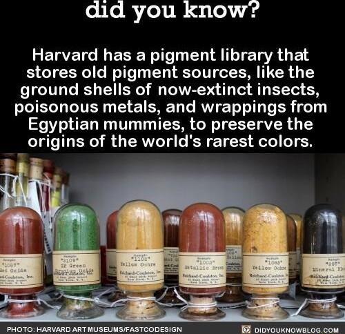 eiloRfolil e o 4 Harvard has a pigment library that stores old pigment sources like the ground shells of now extinct insects poisonous metals and wrappings from Egyptian mummies to preserve the origins of the worlds rarest colors