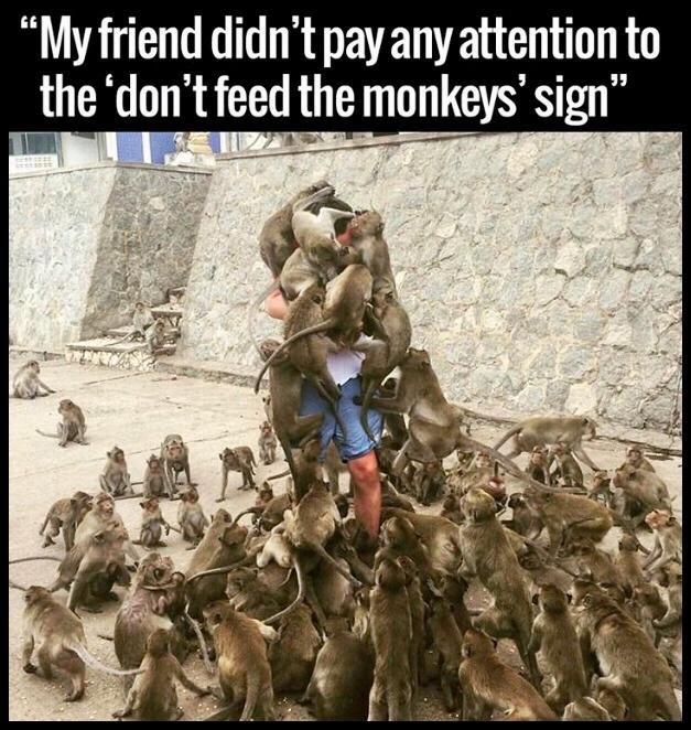 My friend didnt pay any attention to the dont feed he G