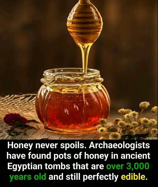 Honey never sponls Archaeologlsts have found pots of honey in ancient S EDRGT BB G ETE TN years old and still perfectly edible