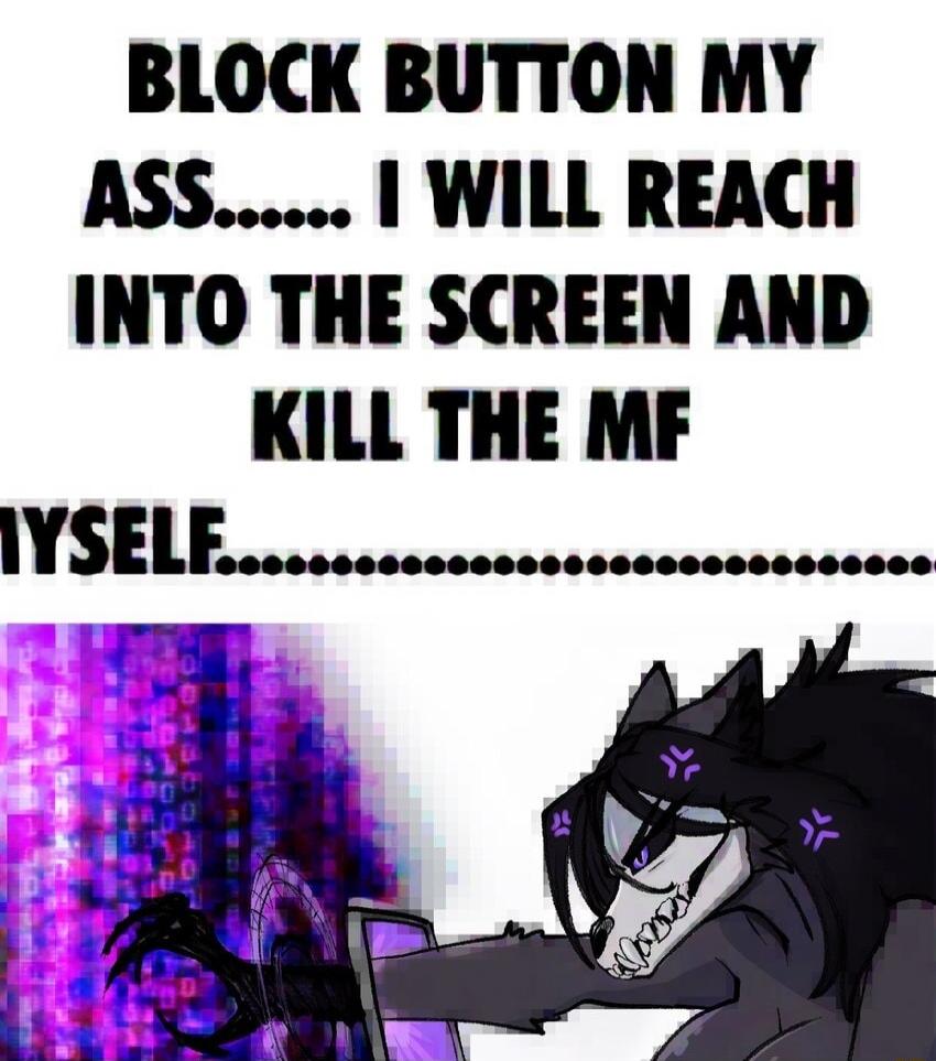 BLOCK BUTTON MY ASS WILL REACH INTO THE SCREEN AND KILL THE MF IYSEL