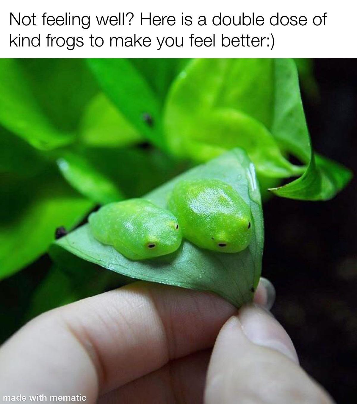 Hel double do e you feel be