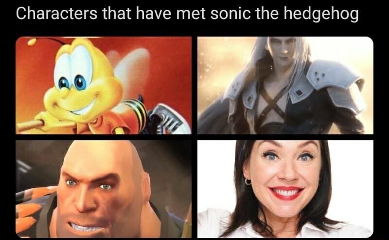 Characters that have met sonic the hedgehog