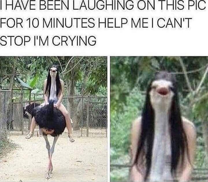 I HAVE BEEN LAUGHING ON THIS PIC FOR 10 MINUTES HELP ME I CAN'T STOP I'M CRYING