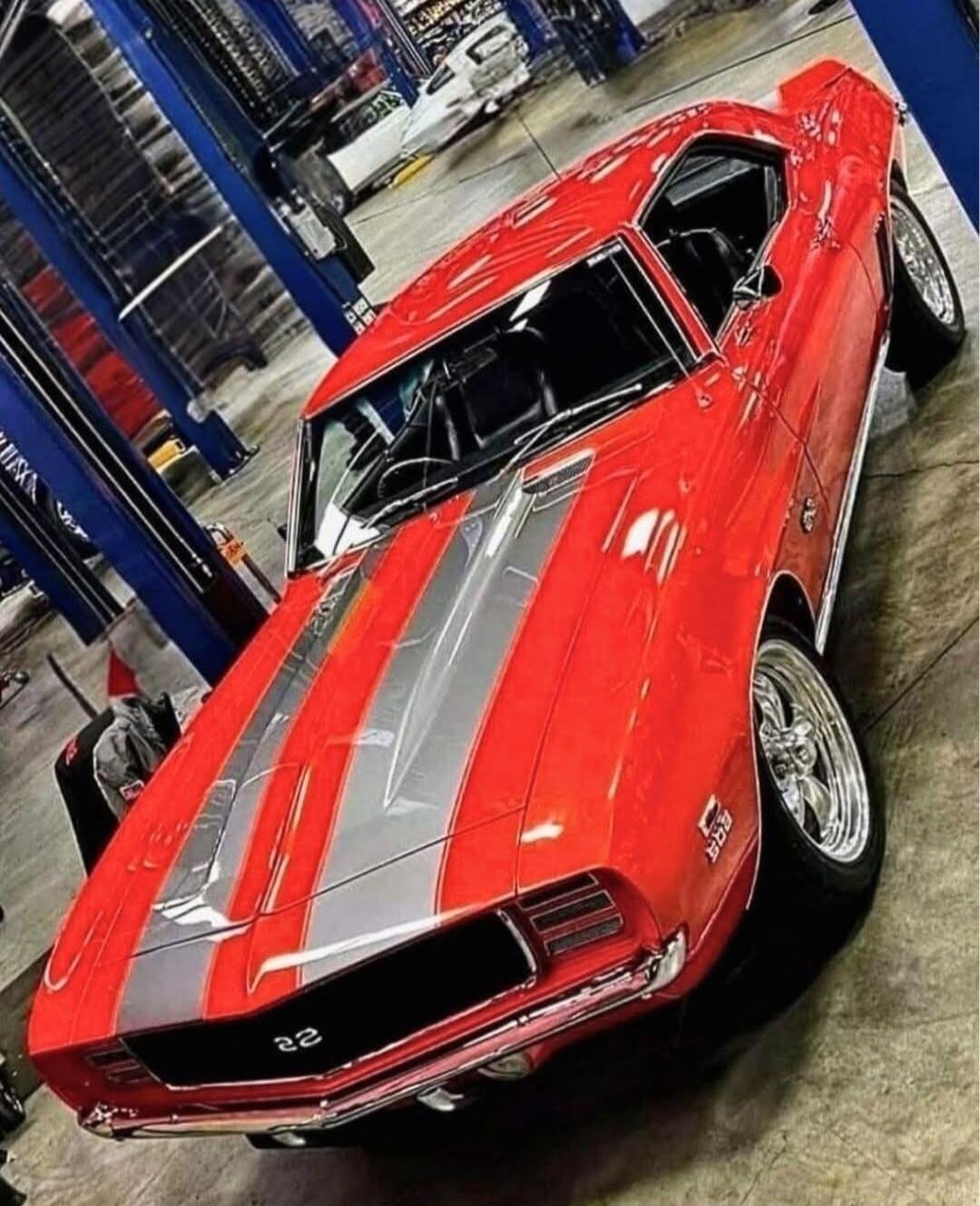 SS 396