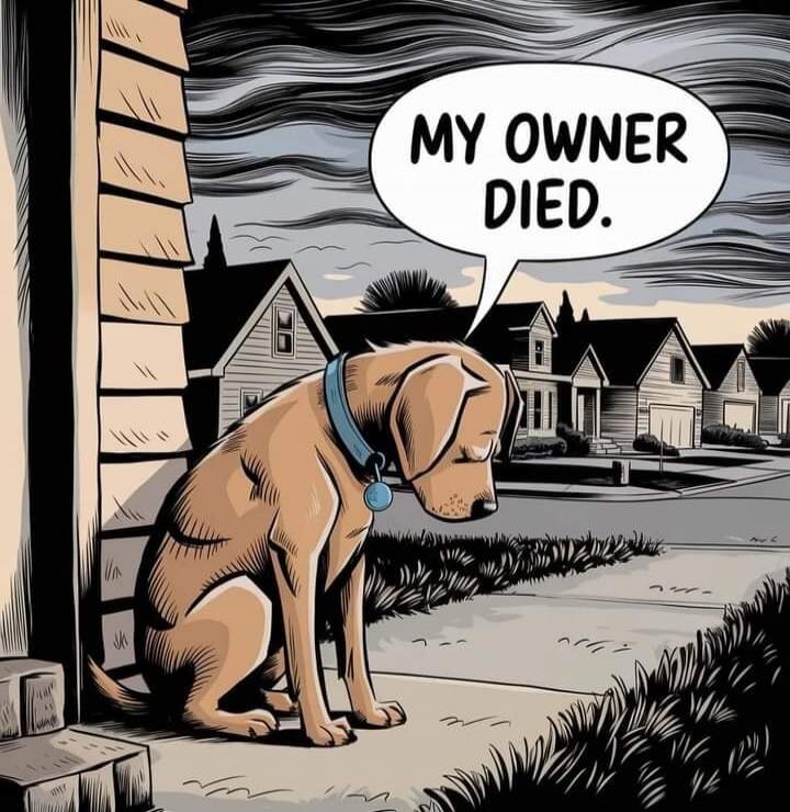 MY OWNER DIED.