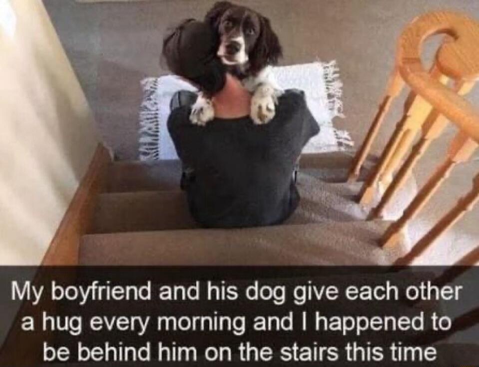 My boyfriend and his dog give each other a hug every morning and happened to be behind him on the stairs this time