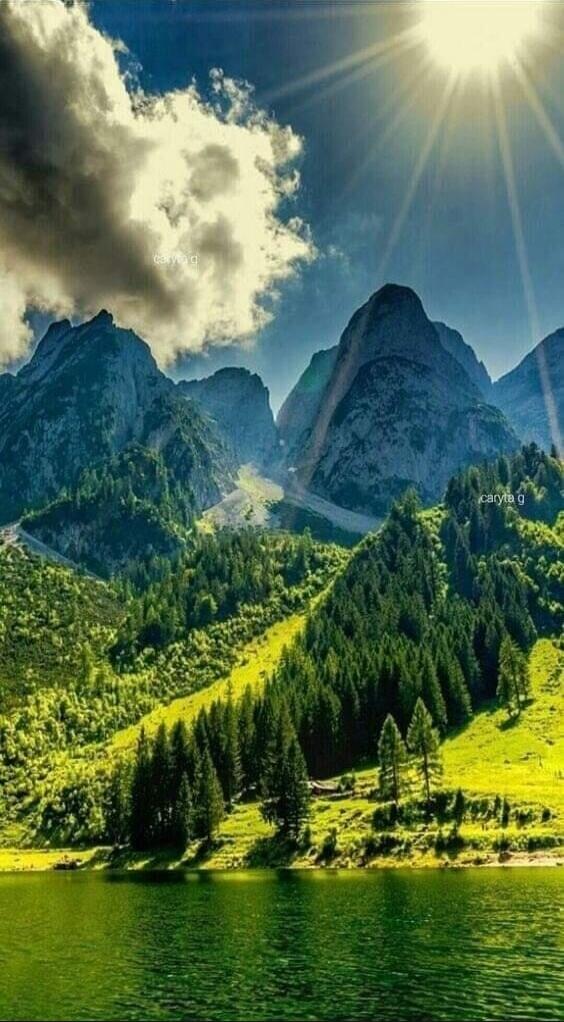 Mountain landscape with lake, pine trees, and sun.