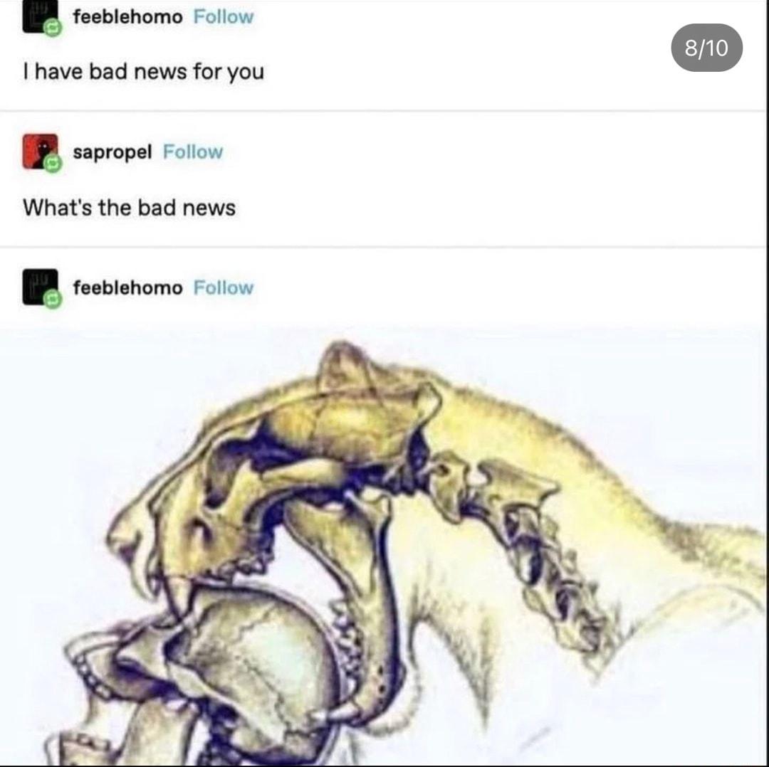 fesblehomo Follow I have bad news for you sapropel Follow Whats the bad news Yr