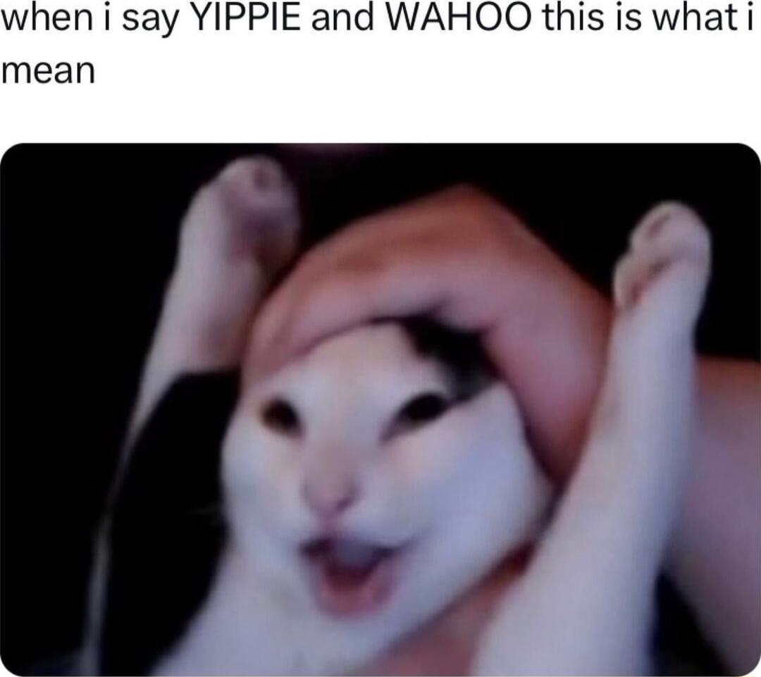 when i say YIPPIE and WAHOO this is what i mean
